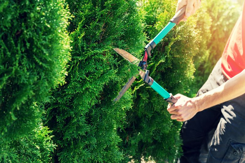 Increase Your Hedge Pruning Business with an AI Driven, Targeted Website
