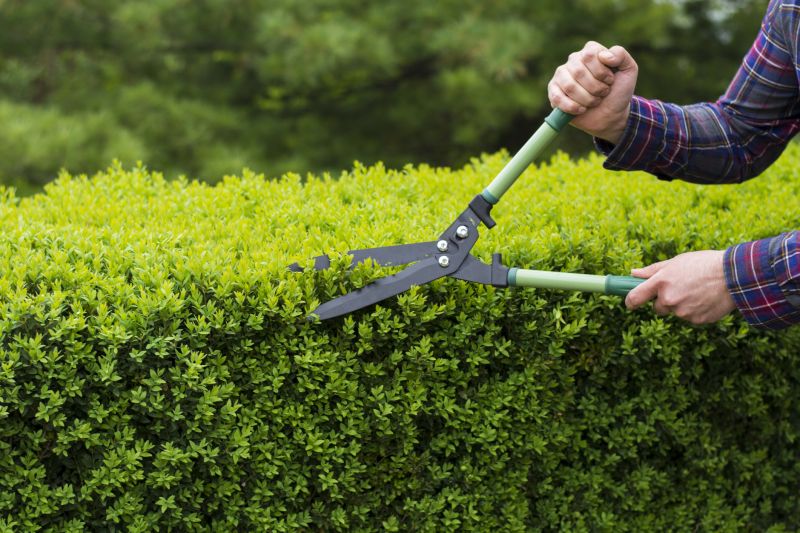 Tools for Hedge Pruning