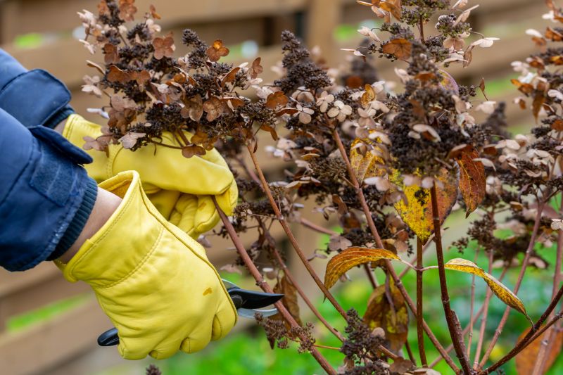 Late Autumn Hedge Pruning