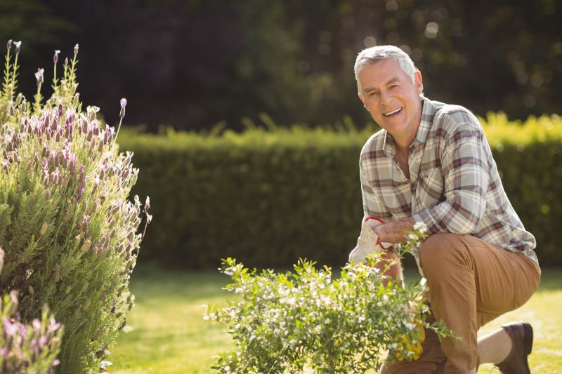 How To Tell When Your Shrubs Need Professional Care