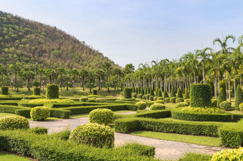 Landscape with Trimmed Shrubs